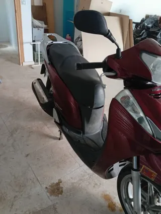 Honda Scoopy - Moto Scooter Automática