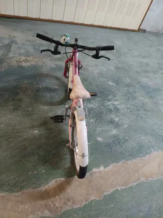 Bicicleta infantil rosa DANIELA F