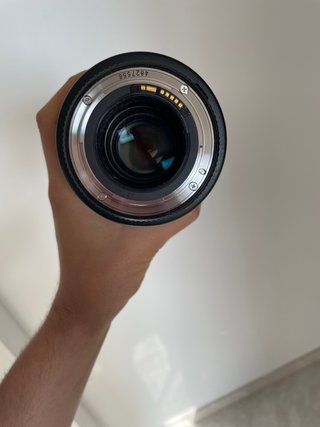 Canon EF 100mm f/2.8L IS USM Macro