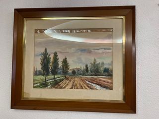 Marco de madera y dorado