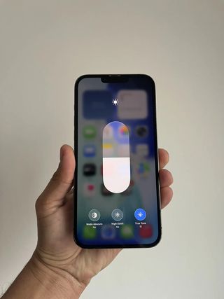 iPhone 13 Pro Max 256GB Grafito