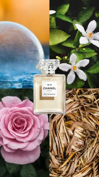 Chanel N°5 Eau Première EDP 100ml
