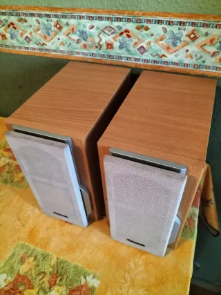Altavoces Panasonic SB-PM37