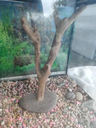 Acuario 70L con luz y decoración