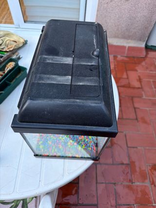 Pecera con piedras de colores