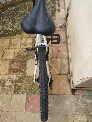Bicicleta de montaña Berg Trail Rock 60
