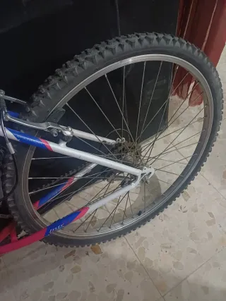 Bicicleta Orbea montaña