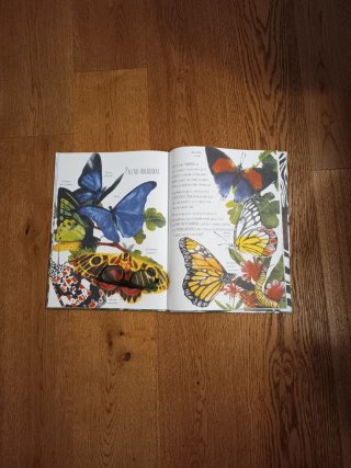 LA NATURALEZA Y SUS COLORES