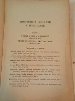 Tempini, O. "RomaNova Esercizi Latini volume 2"SEI