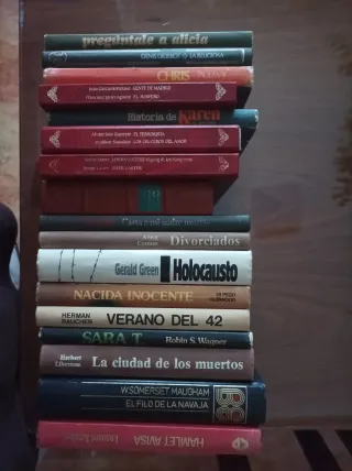 Lote 17 Libros 33€ Individual 3€ Tapa dura