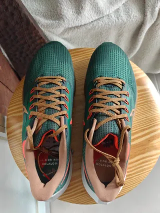 Nike Pegasus 39 Hola Lou Verde Naranja