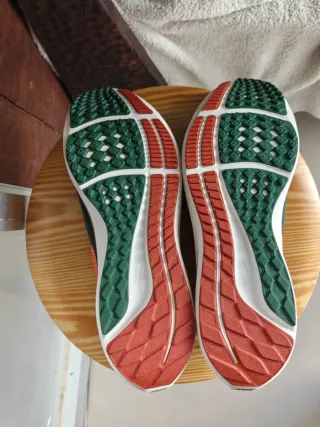 Nike Pegasus 39 Hola Lou Verde Naranja