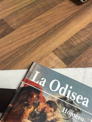 La Odisea (Colección Fontana)