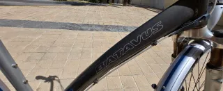 Bicicleta Batavus