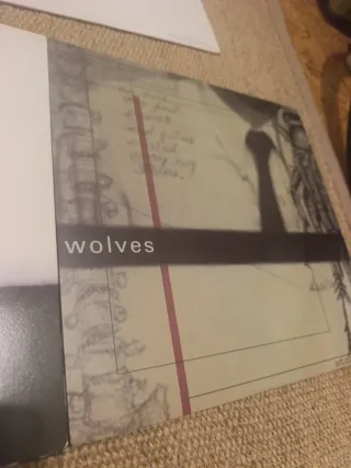 Lote Vinilos Hardcore Screamo precio unidad