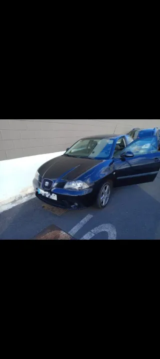 Repuestos Seat Ibiza 6L