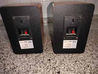 Altavoces SAL Madera y Negro
