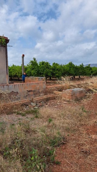 Terreno con caseta
