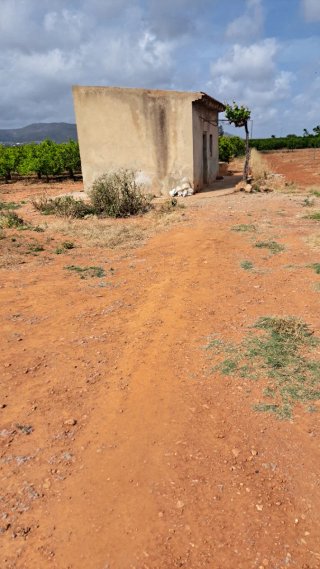 Terreno con caseta