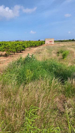 Terreno con caseta