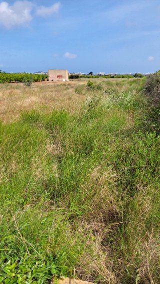Terreno con caseta