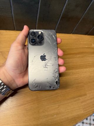 iPhone 13 Pro Negro/Plateado