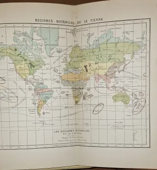 Enciclopedia antigua historia natural