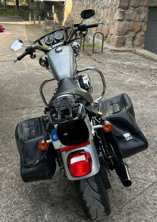 Harley Davidson XL 1200 Roadster 2006