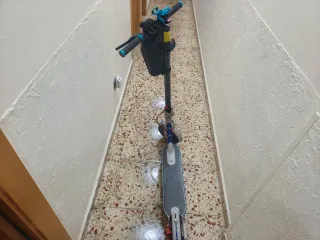 Patinete Eléctrico Xiaomi