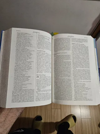 La Biblia didáctica