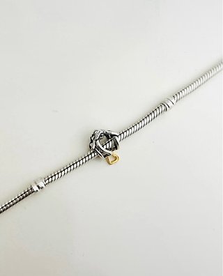 Charm casa corazón plata y oro