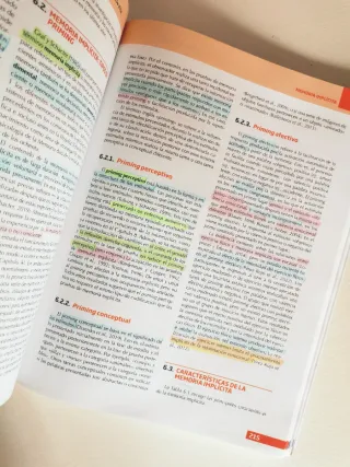 La memoria humana: Una aproximación desde la Ne...