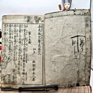 Libro Giappone Xilografia Edo 1800 Illustrato