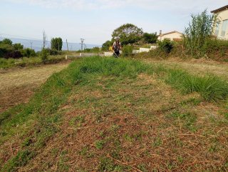 Desbroce de fincas y cortacésped en Cantabria