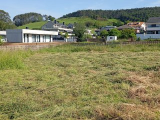 Desbroce de fincas y cortacésped en Cantabria