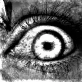 Novela negra, suspense, policiaca,misterio.
