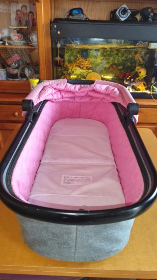 Passeggino per neonati rosa