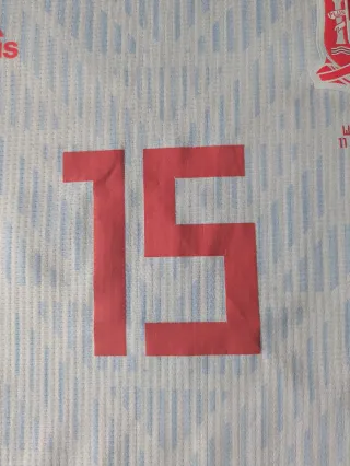 Camiseta España Sergio Ramos 2018 Match Issue