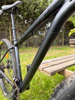 Bicicleta Cannondale MTB 29 Talla M + Tannus