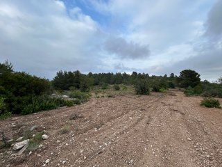 Terreno rustico, secano. No hay agua, no hay luz.