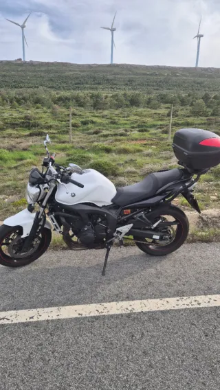 Yamaha FZ6 S2 Naked Blanca