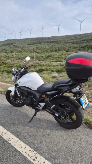 Yamaha FZ6 S2 Naked Blanca