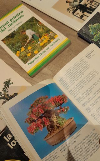 6 Libros: Jardineria y Bonsais