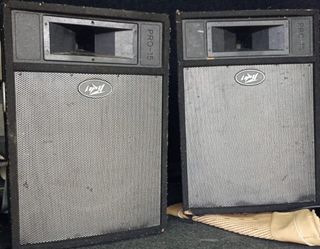 Altavoces Peavey PRO-15 (2 unidades)