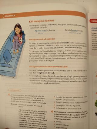 Llengua Catalana i Literatura 2nESO -Construint m