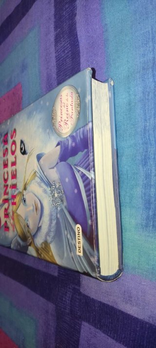 Princesa de los Hielos: Princesas del Reino de ...
