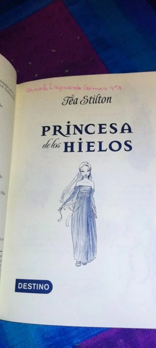 Princesa de los Hielos: Princesas del Reino de ...