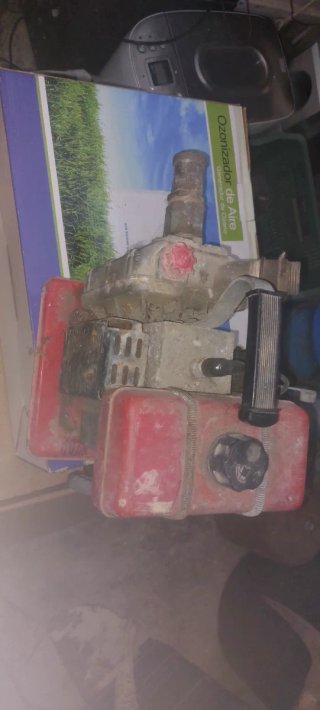 Motor de agua Campeón