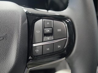 Ford Tourneo Custom 2.0 EcoBlue 110kW (150CV) L2 Titanium X