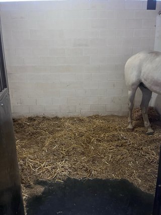 Paja de Lino ECOFLAX para Caballos